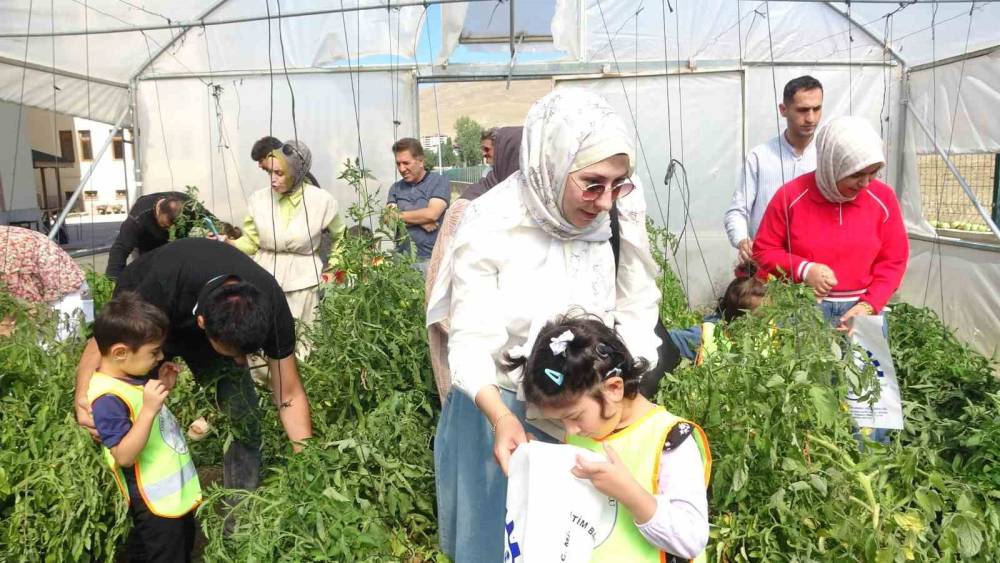 Bayburt’ta özel öğrenciler serada organik sebze hasadı yaptı