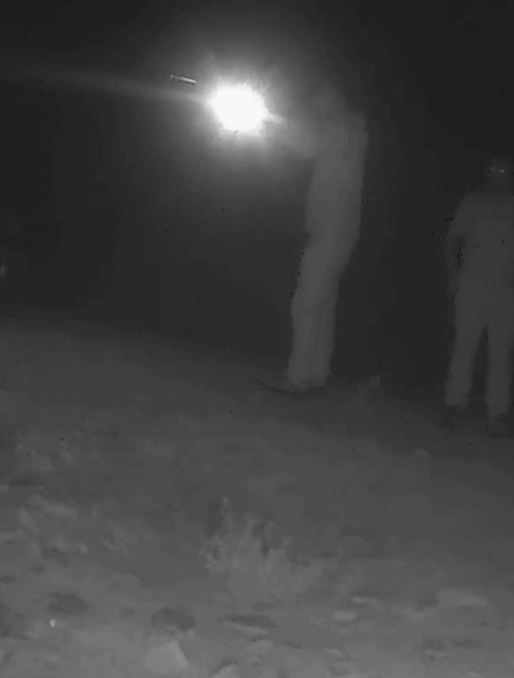 Bedelini ağır ödediler! Önce ışıkla yerini belirledi sonra tek atışla vurdu