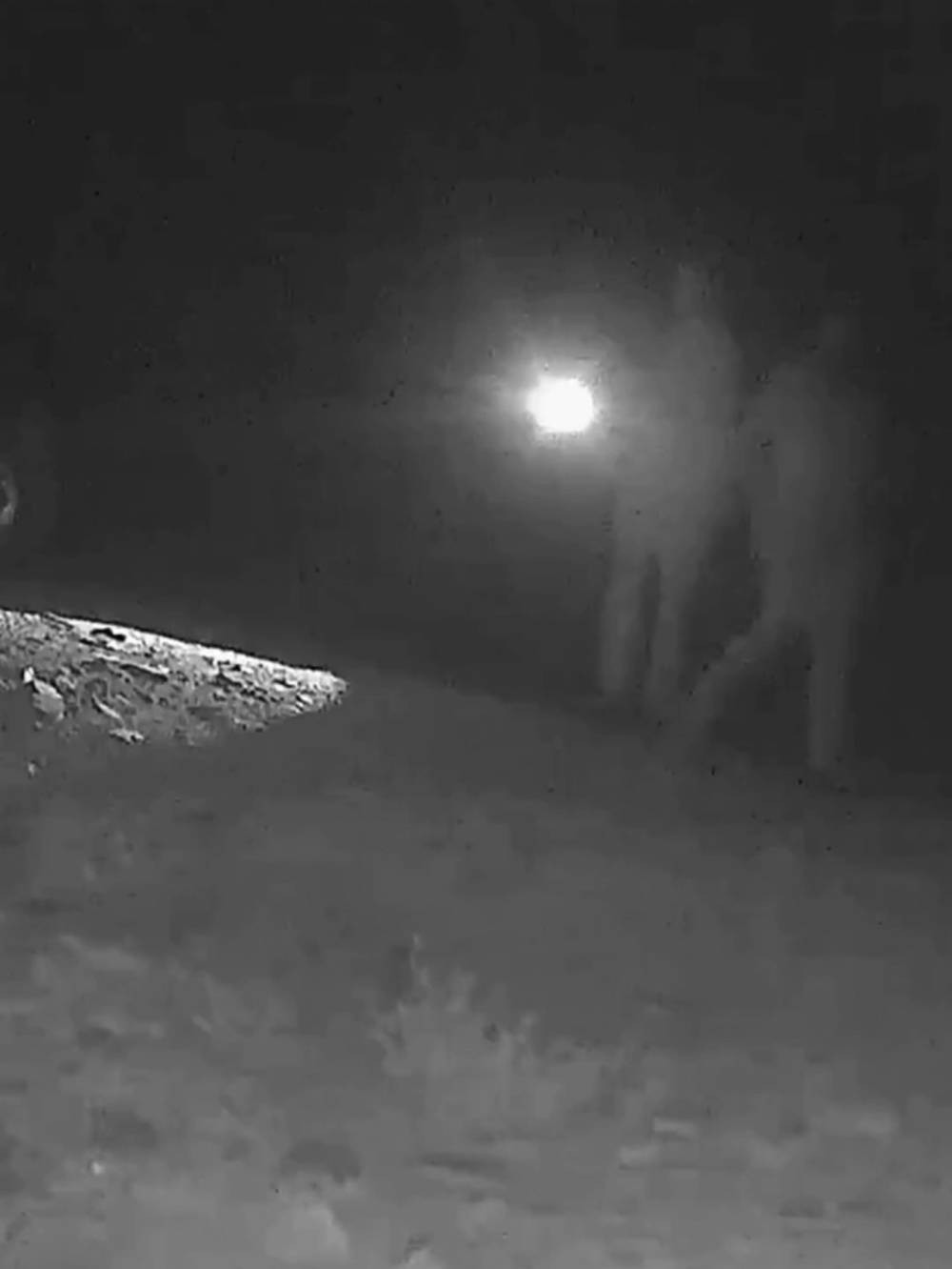 Bedelini ağır ödediler! Önce ışıkla yerini belirledi sonra tek atışla vurdu