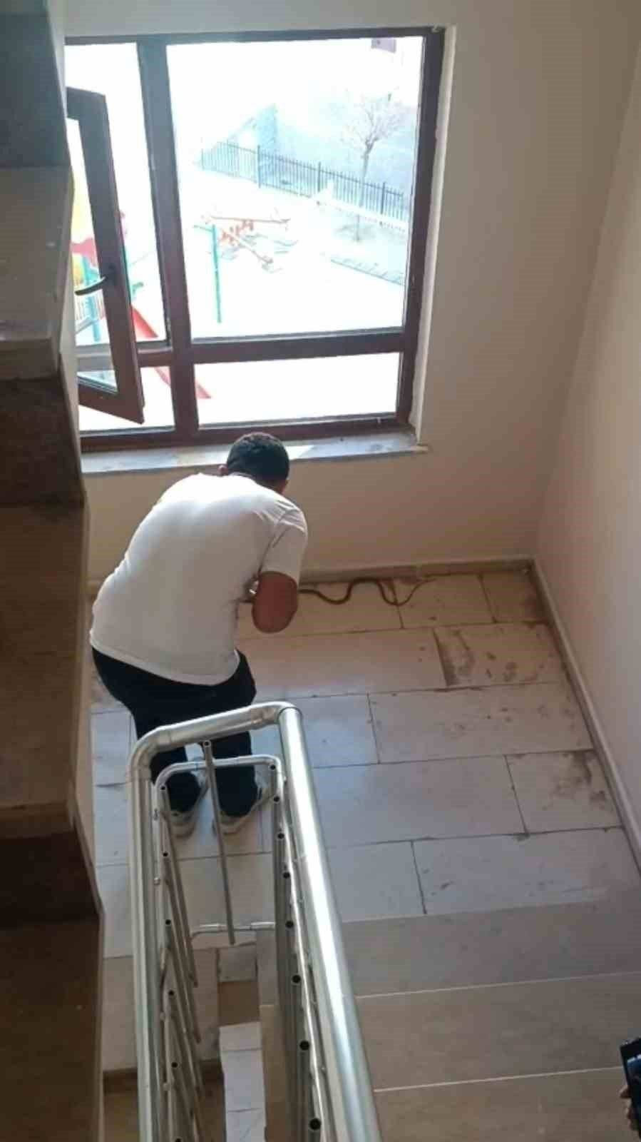 Apartmanda yılan paniği! Şırnak’ta sürpriz misafir 4. kata çıktı: İşte o anlar