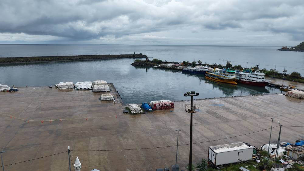 Balıkçıların ağına takıldı! Türk sularında bilinmeyen tehlike