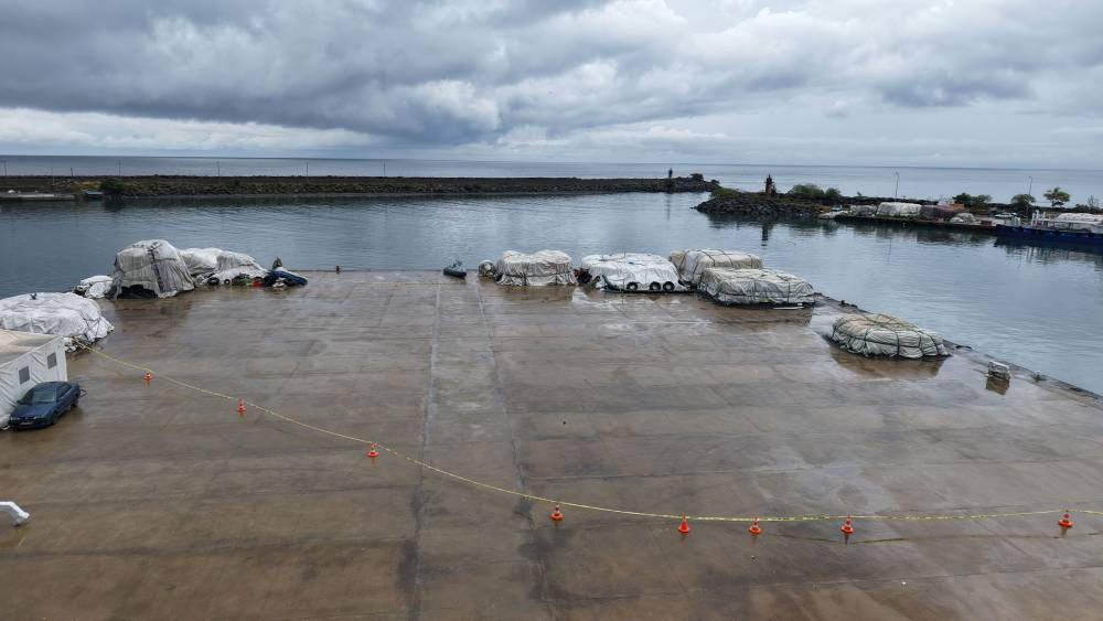 Balıkçıların ağına takıldı! Türk sularında bilinmeyen tehlike