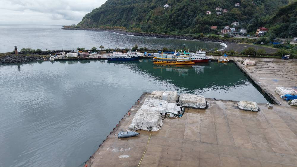 Balıkçıların ağına takıldı! Türk sularında bilinmeyen tehlike