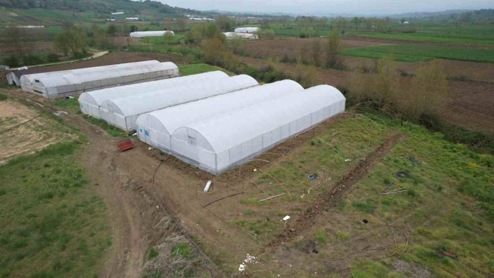 Çiftçilere yüzde 50 hibe desteği!