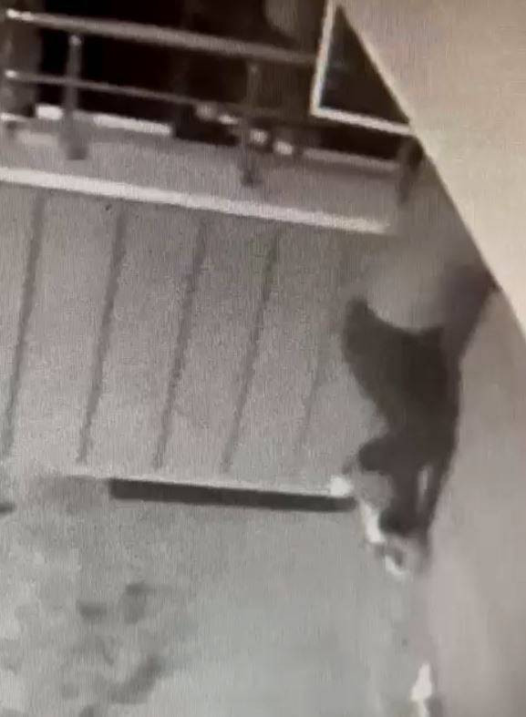 Hırsızların planı polis bozdu