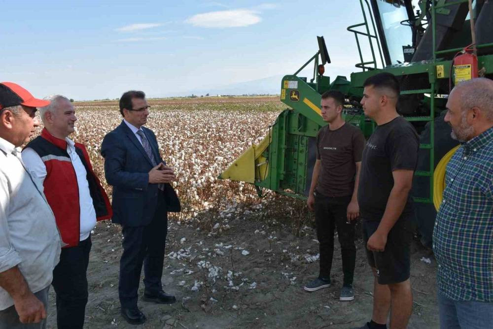 ‘Beyaz Altın’da ilk hasat!