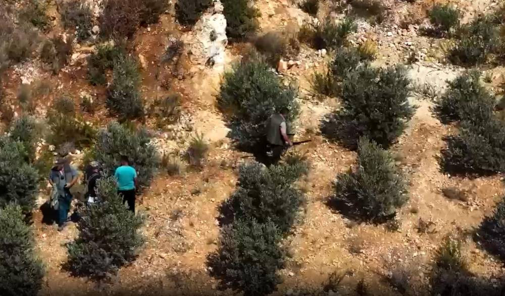 Ava giden avcılar av oldular