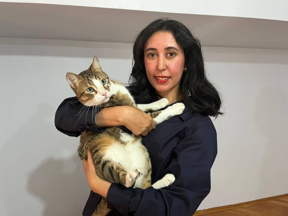 Uçakta kedi krizi! Türk diplomat ve eşi şikâyetçi oldu