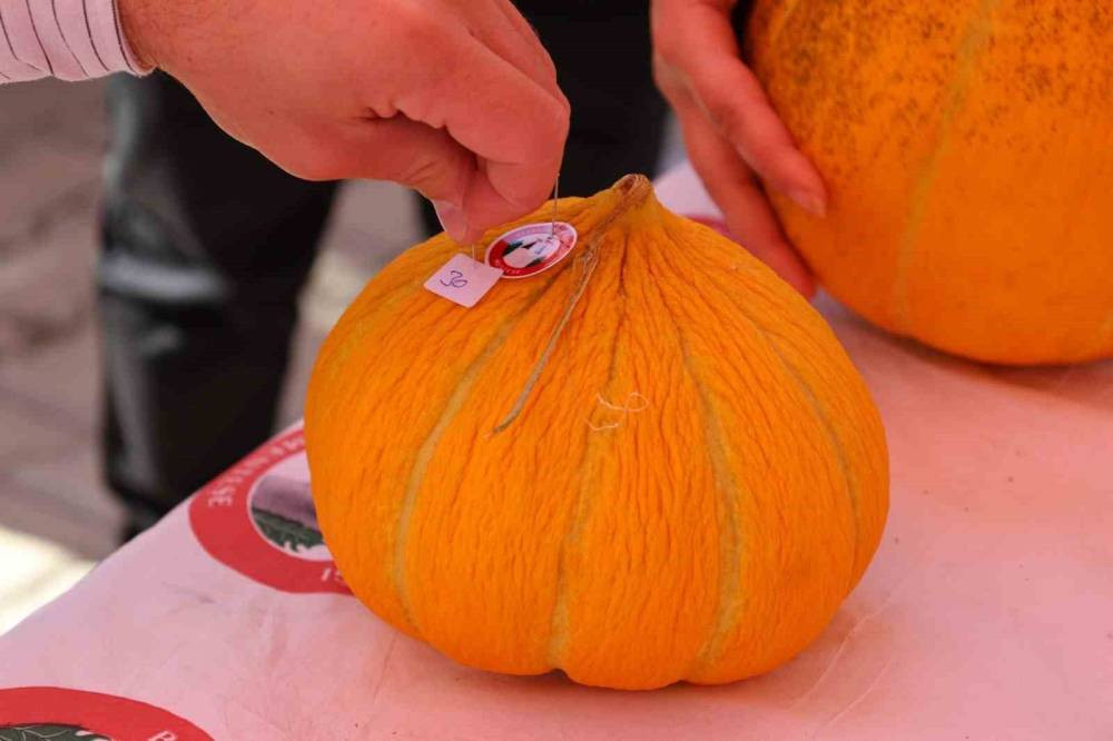 Karabağlar Yaylası kavun yarışması sonuçlandı: İşte dereceye giren isimler!
