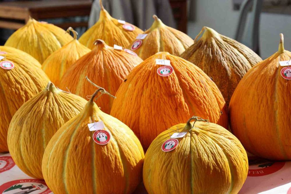 Karabağlar Yaylası kavun yarışması sonuçlandı: İşte dereceye giren isimler!