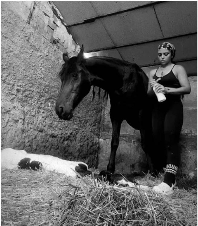 Semanur’un dosyasında flaş gelişme! Dosya tozlu raflardan indirildi: 43’ncü kattan düştüğü iddia edilmişti