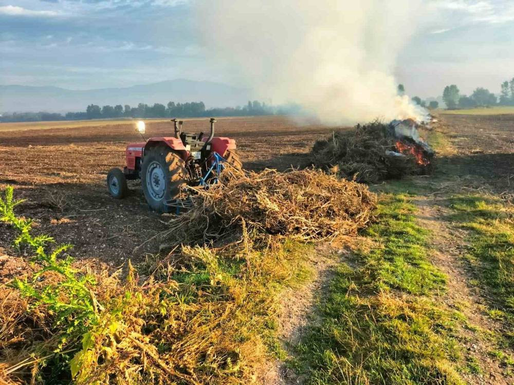 Bolu’da anız yakana hapis ve para cezası!