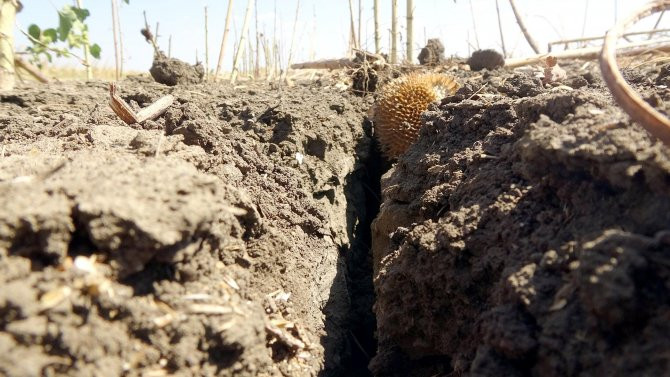 edirnede-kuraklik-topraklari-catlatti-ciftci-ekim-yapamiyor-3946-dhaphoto7.jpg