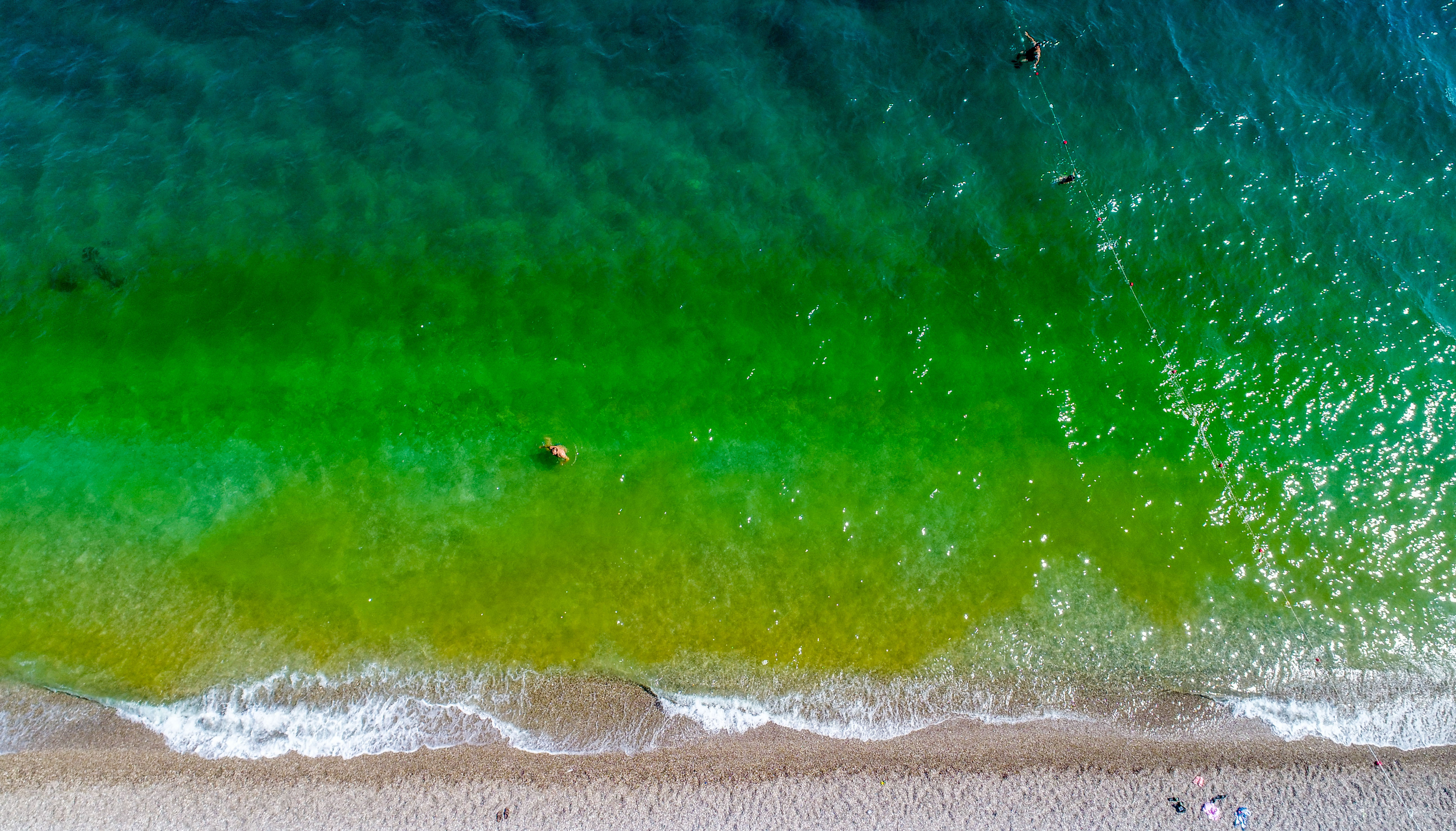 fitoplanktonlar-denizi-yesile-dondurdu-tatilciler-korktu-8074-dhaphoto1.jpg