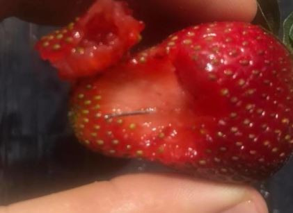 Çileklerin içinden dikiş iğnesi çıktı - Resim : 1