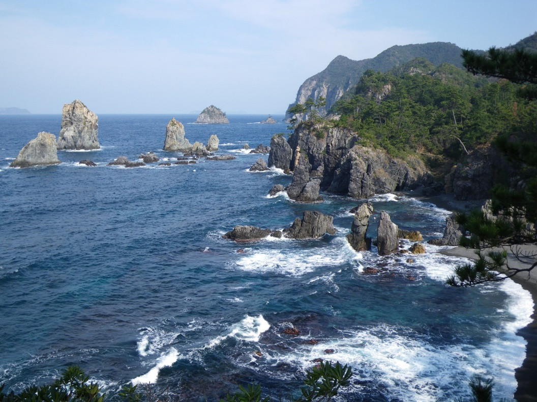 PALAVRA BİLİMİ - Resim : 2