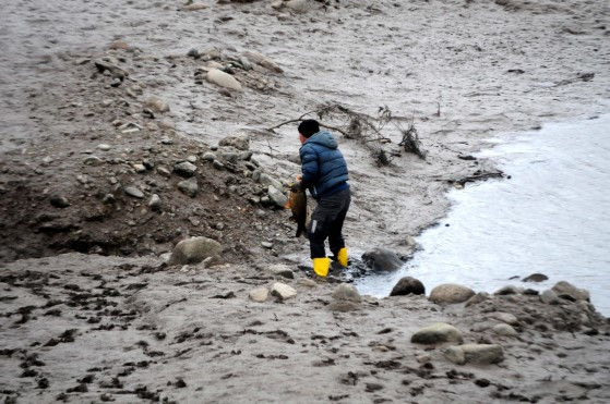 Çanakkale'de korkutan görüntü! - Resim : 1